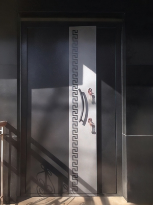 Фото дверей с порошковым покрытием