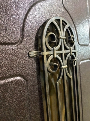 Порошковая дверь с ковкой