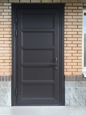 Стальная однопольная дверь