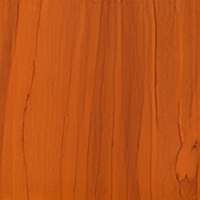 Клен красный